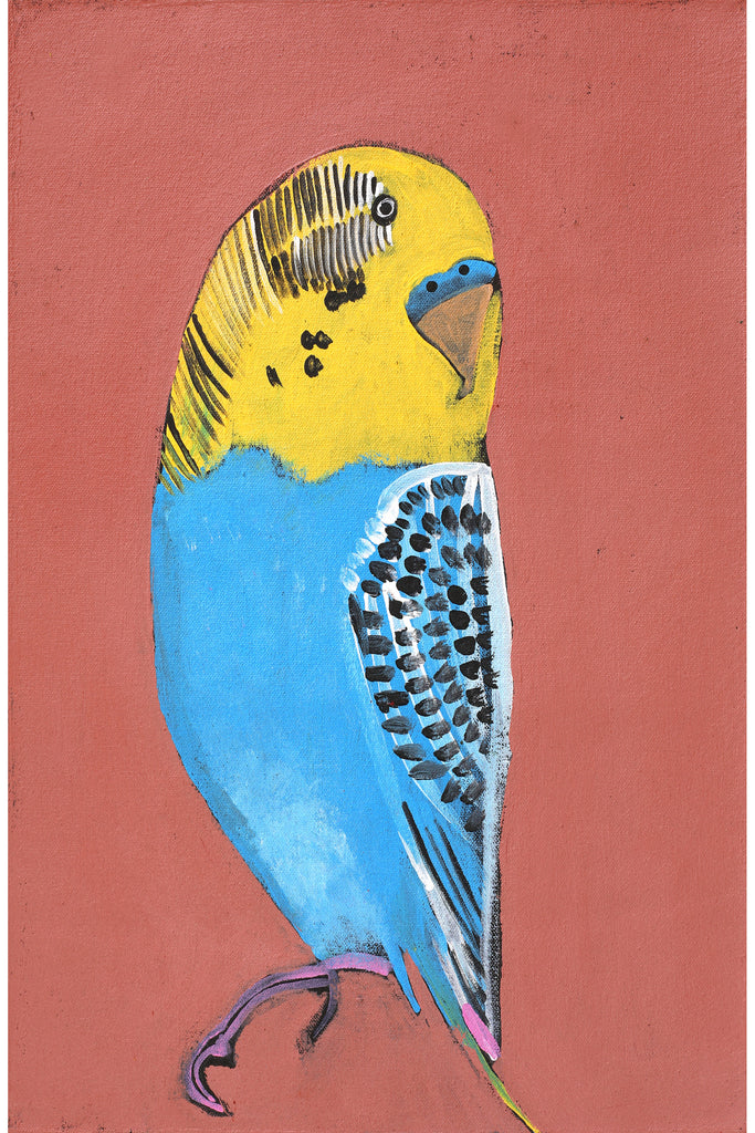 Aboriginal Artwork by Wilma Napangardi Poulson, Birds that live around Yuendumu, 46x30cm