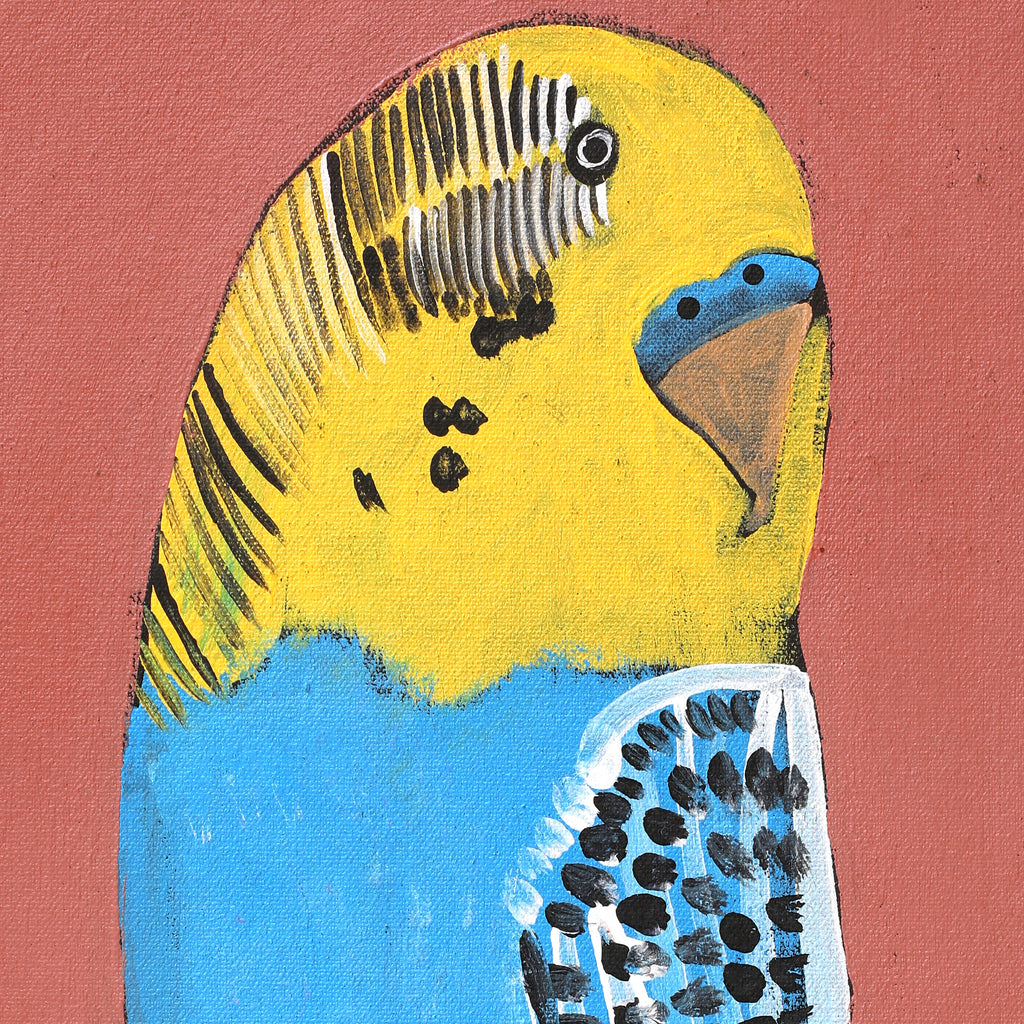 Aboriginal Artwork by Wilma Napangardi Poulson, Birds that live around Yuendumu, 46x30cm