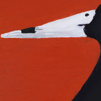 Aboriginal Artwork by Wilma Napangardi Poulson, Birds that live around Yuendumu, 61x61cm