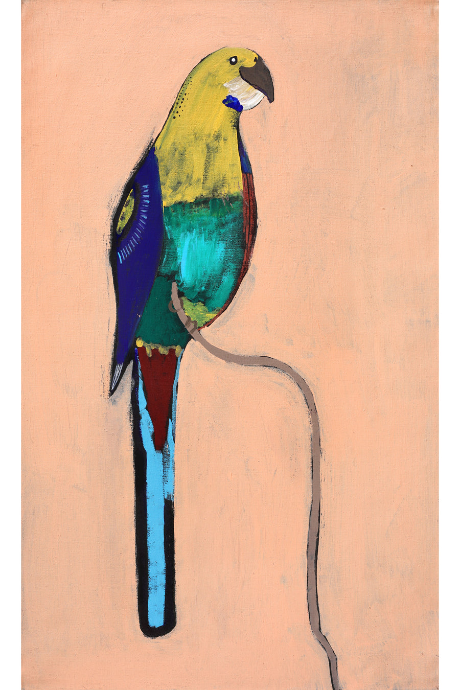 Aboriginal Artwork by Wilma Napangardi Poulson, Birds that live around Yuendumu, 76x46cm