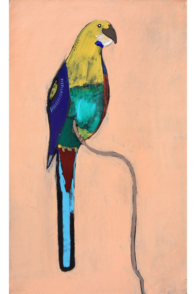 Aboriginal Artwork by Wilma Napangardi Poulson, Birds that live around Yuendumu, 76x46cm