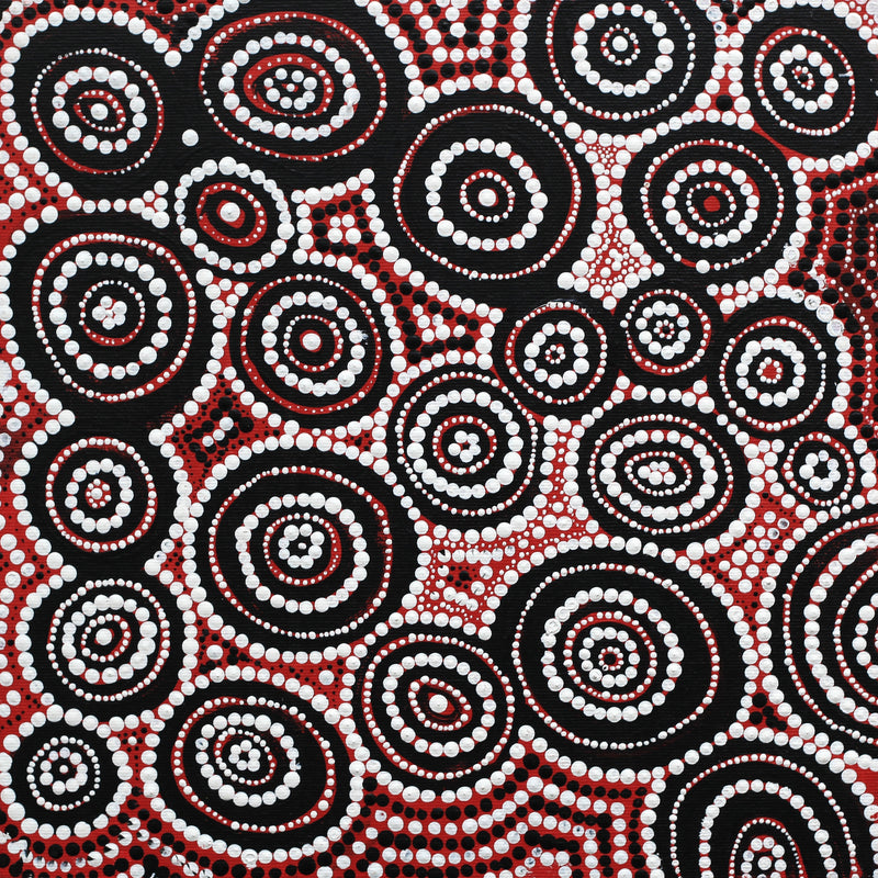 Aboriginal Artwork by Wilma Napangardi Poulson, Pikilyi Jukurrpa (Vaughn Springs Dreaming), 30x30cm