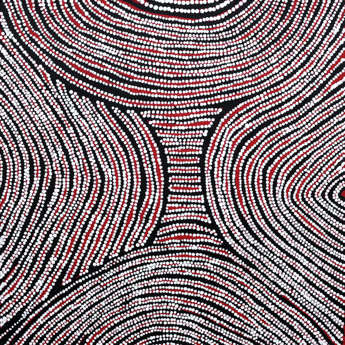 Aboriginal Art by Wilma Napangardi Poulson, Ngalyipi Jukurrpa (Snake Vine Dreaming)- Purturlu, 46x46cm - ART ARK®