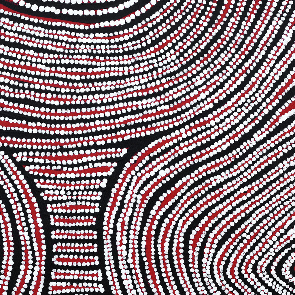 Aboriginal Artwork by Wilma Napangardi Poulson, Ngalyipi Jukurrpa (Snake Vine Dreaming)- Purturlu, 46x46cm