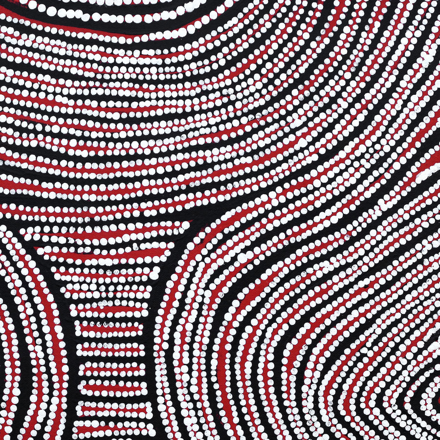 Aboriginal Artwork by Wilma Napangardi Poulson, Ngalyipi Jukurrpa (Snake Vine Dreaming)- Purturlu, 46x46cm