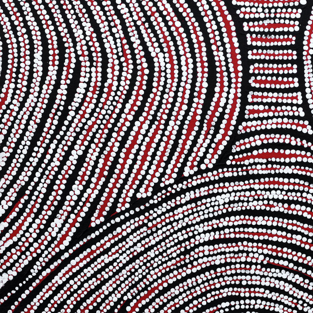 Aboriginal Artwork by Wilma Napangardi Poulson, Ngalyipi Jukurrpa (Snake Vine Dreaming)- Purturlu, 46x46cm