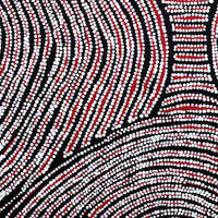 Aboriginal Artwork by Wilma Napangardi Poulson, Ngalyipi Jukurrpa (Snake Vine Dreaming)- Purturlu, 46x46cm
