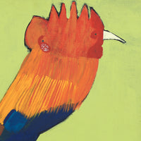 Aboriginal Artwork by Wilma Napangardi Poulson, Birds that live around Yuendumu, 61x61cm