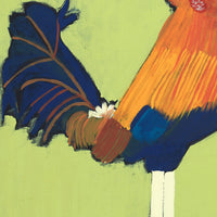 Aboriginal Artwork by Wilma Napangardi Poulson, Birds that live around Yuendumu, 61x61cm