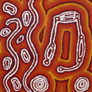 Aboriginal Art by Amanda Nakamarra Curtis, Lappi Lappi Dreaming, 30x30cm - ART ARK®