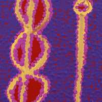 Aboriginal Artwork by Bernard Japanangka Watson, Pamapardu Jukurrpa (Flying Ant Dreaming) - Warntungurru, 30x30cm