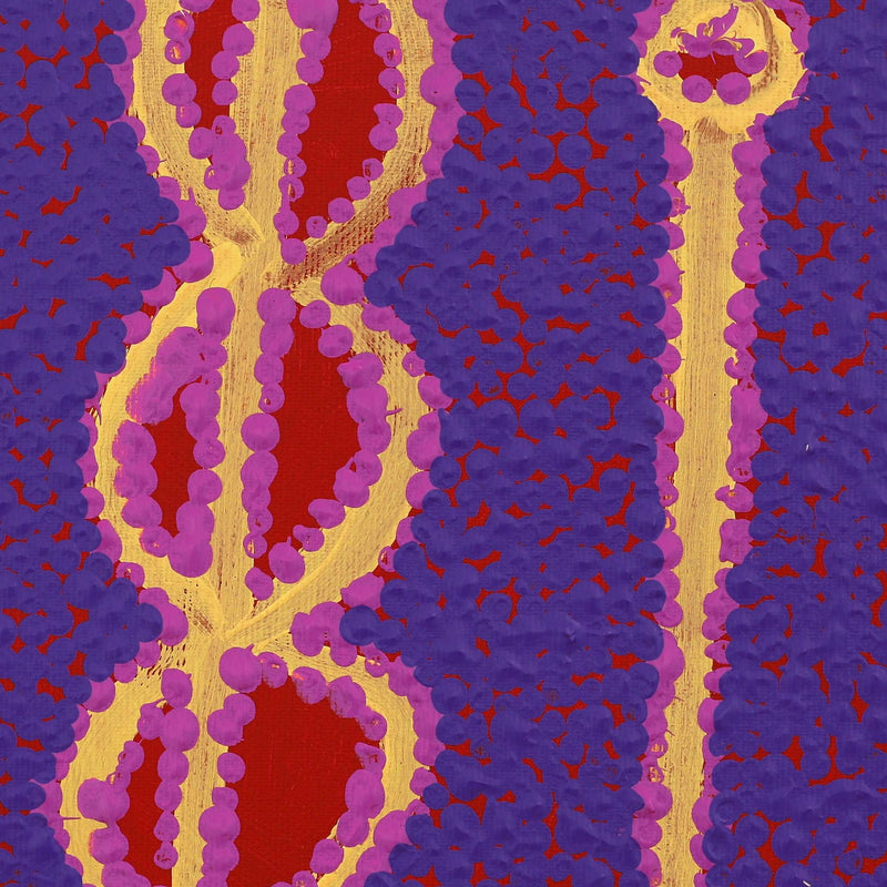 Aboriginal Artwork by Bernard Japanangka Watson, Pamapardu Jukurrpa (Flying Ant Dreaming) - Warntungurru, 30x30cm