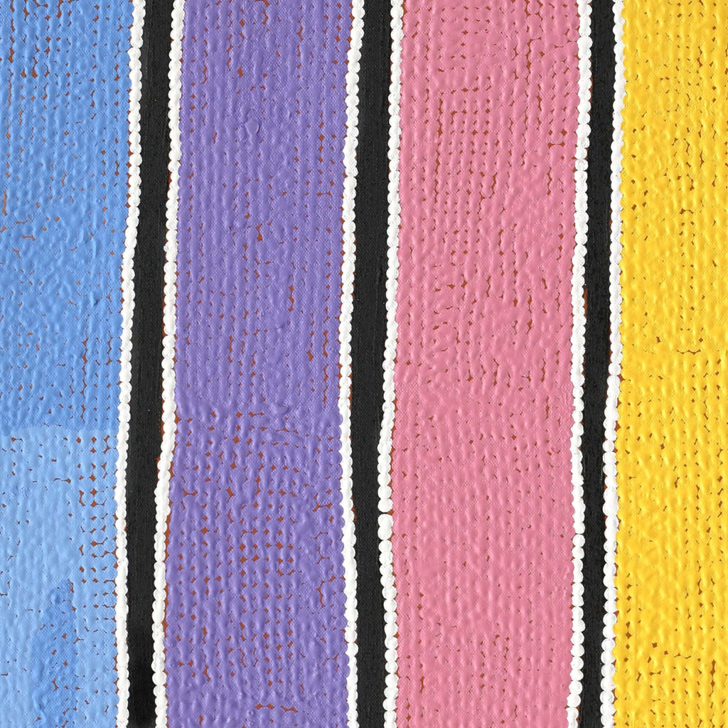 Aboriginal Artwork by Biddy Napaljarri White, Ngatijirri Jukurrpa (Budgerigar Dreaming), 61x46cm