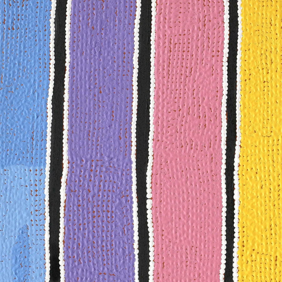 Aboriginal Artwork by Biddy Napaljarri White, Ngatijirri Jukurrpa (Budgerigar Dreaming), 61x46cm