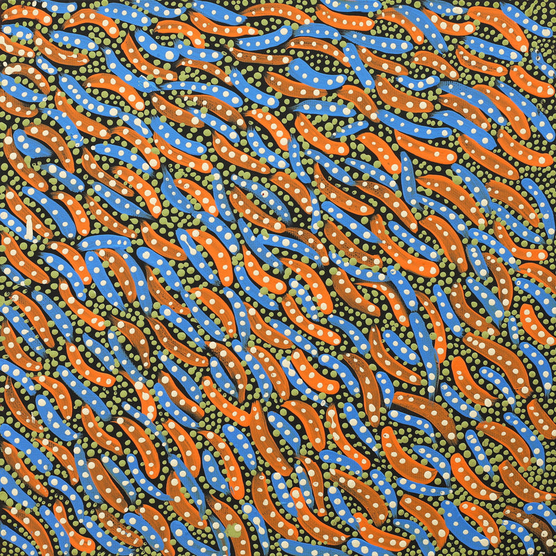 Aboriginal Artwork by Cecilia Napurrurla Wilson, Nguru Yurntumu-wana (Country around Yuendumu), 30x30cm