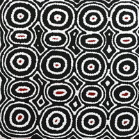 Aboriginal Artwork by Cecily Napanangka Marshall, Pikilyi Jukurrpa (Vaughan Springs Dreaming), 30x30cm