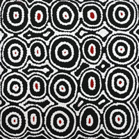 Aboriginal Artwork by Cecily Napanangka Marshall, Pikilyi Jukurrpa (Vaughan Springs Dreaming), 30x30cm