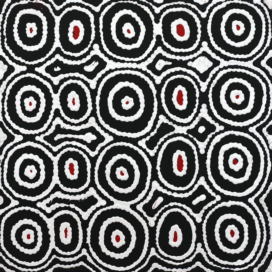 Aboriginal Artwork by Cecily Napanangka Marshall, Pikilyi Jukurrpa (Vaughan Springs Dreaming), 30x30cm