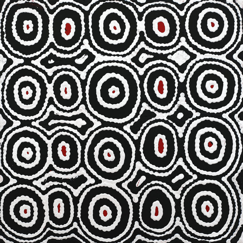 Aboriginal Artwork by Cecily Napanangka Marshall, Pikilyi Jukurrpa (Vaughan Springs Dreaming), 30x30cm