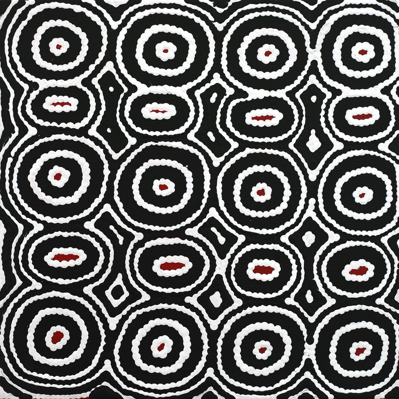 Aboriginal Artwork by Cecily Napanangka Marshall, Pikilyi Jukurrpa (Vaughan Springs Dreaming), 30x30cm
