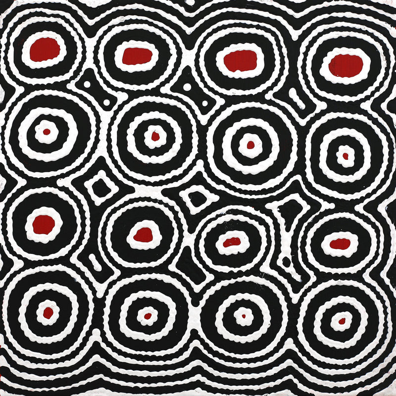 Aboriginal Artwork by Cecily Napanangka Marshall, Pikilyi Jukurrpa (Vaughan Springs Dreaming), 30x30cm