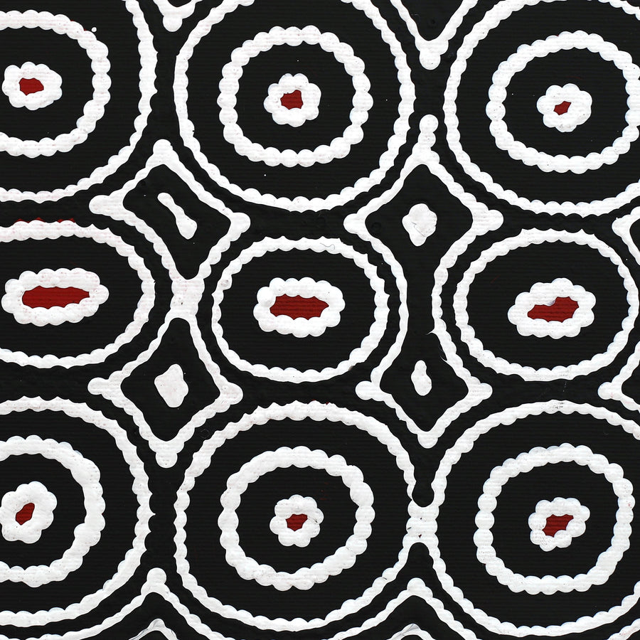 Aboriginal Artwork by Cecily Napanangka Marshall, Pikilyi Jukurrpa (Vaughan Springs Dreaming), 30x30cm