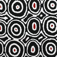 Aboriginal Artwork by Cecily Napanangka Marshall, Pikilyi Jukurrpa (Vaughan Springs Dreaming), 30x30cm