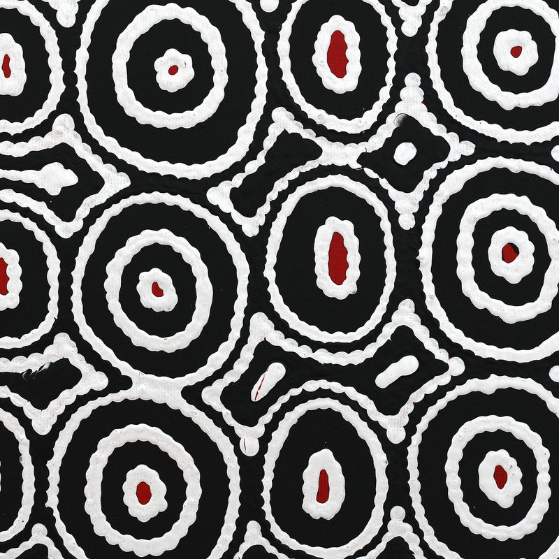 Aboriginal Artwork by Cecily Napanangka Marshall, Pikilyi Jukurrpa (Vaughan Springs Dreaming), 30x30cm