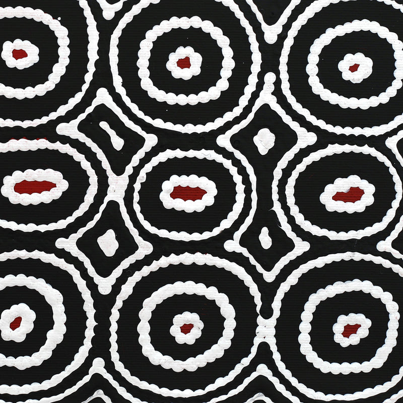 Aboriginal Artwork by Cecily Napanangka Marshall, Pikilyi Jukurrpa (Vaughan Springs Dreaming), 30x30cm