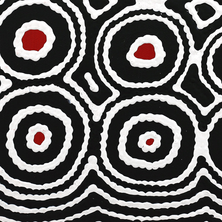 Aboriginal Artwork by Cecily Napanangka Marshall, Pikilyi Jukurrpa (Vaughan Springs Dreaming), 30x30cm
