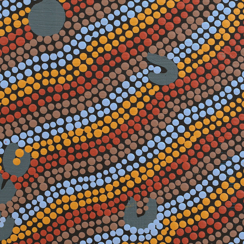 Aboriginal Artwork by Celestine Nungarrayi Tex, Lappi Lappi Jukurrpa, 30x30cm