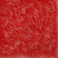 Aboriginal Artwork by Corinne Nampijinpa Ryan, Ngalyarrpa manu Puluku Jukurrpa (Sandhill and Bullock Dreaming), 30x30cm