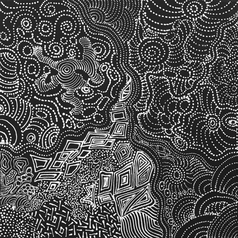 Aboriginal Artwork by Elsie Napanangka Granites, Mina Mina Dreaming, 30x30cm