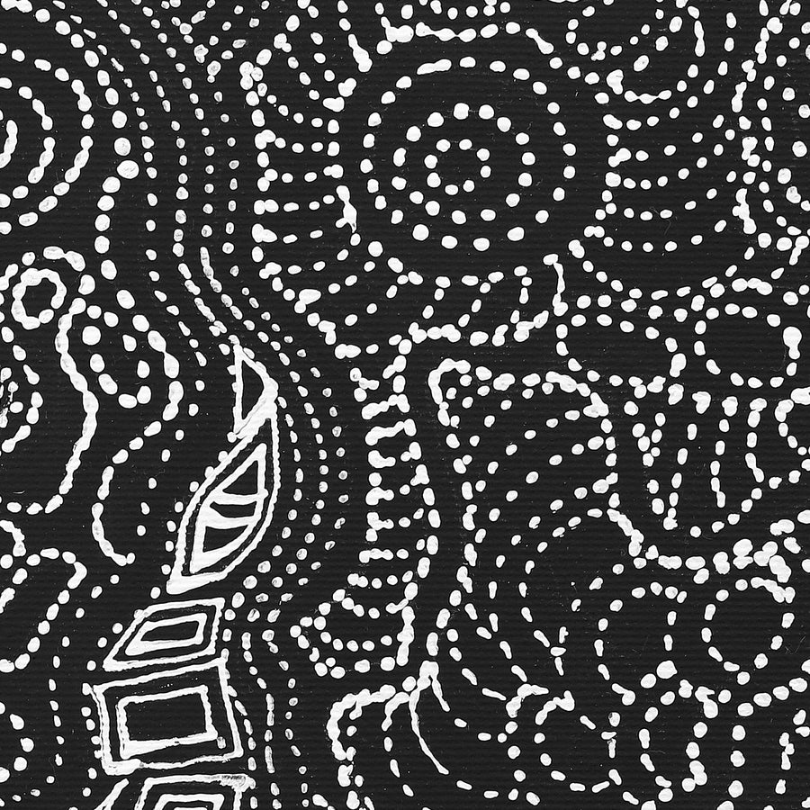 Aboriginal Artwork by Elsie Napanangka Granites, Mina Mina Dreaming, 30x30cm