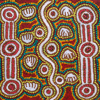 Aboriginal Artwork by Henry Jampijinpa Spencer, Wardapi Jukurrpa (Goanna Dreaming) - Yarripilangu, 30x30cm