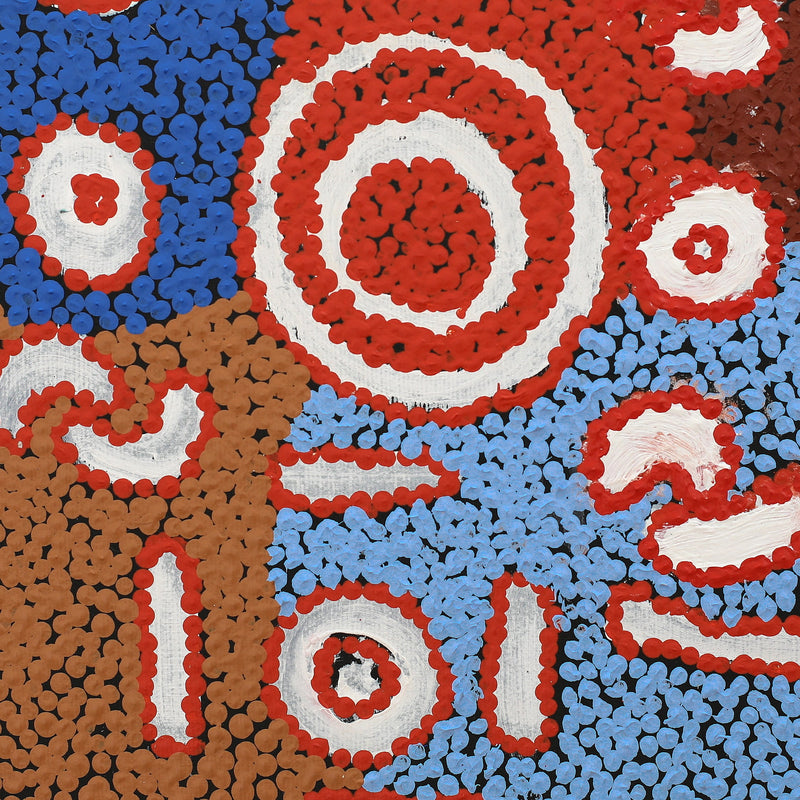 Aboriginal Artwork by Henry Jampijinpa Spencer, Wardapi Jukurrpa (Goanna Dreaming) - Yarripilangu, 30x30cm
