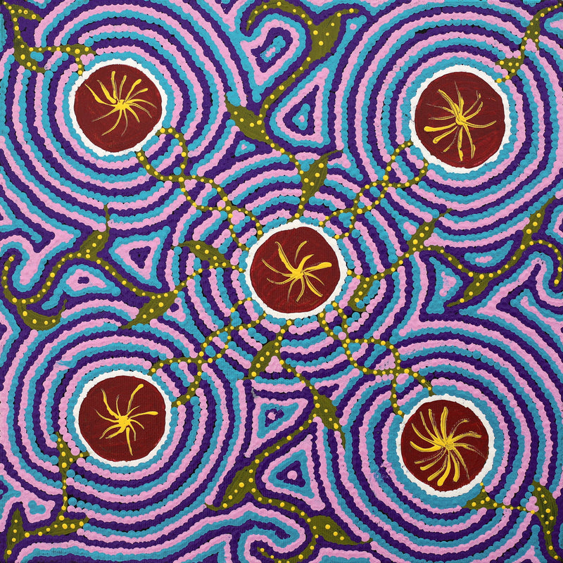 Aboriginal Artwork by Ingrid Napangardi Williams, Ngalyipi Jukurrpa (Snake Vine Dreaming) - Purturlu, 30x30cm