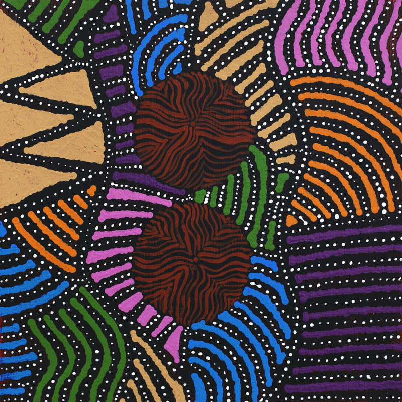 Aboriginal Artwork by Ingrid Napangardi Williams, Ngalyipi Jukurrpa (Snake Vine Dreaming) - Purturlu, 30x30cm