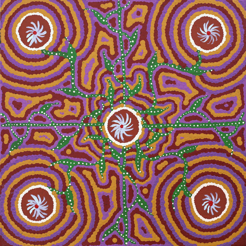 Aboriginal Artwork by Ingrid Napangardi Williams, Ngalyipi Jukurrpa (Snake Vine Dreaming) - Purturlu, 30x30cm