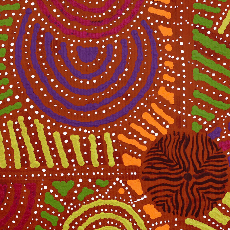 Aboriginal Artwork by Ingrid Napangardi Williams, Ngalyipi Jukurrpa (Snake Vine Dreaming) - Purturlu, 30x30cm