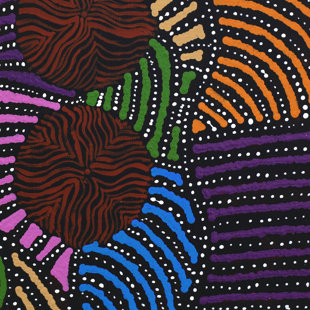 Aboriginal Artwork by Ingrid Napangardi Williams, Ngalyipi Jukurrpa (Snake Vine Dreaming) - Purturlu, 30x30cm