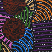 Aboriginal Artwork by Ingrid Napangardi Williams, Ngalyipi Jukurrpa (Snake Vine Dreaming) - Purturlu, 30x30cm