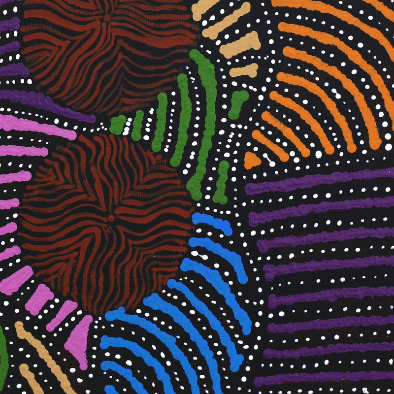 Aboriginal Artwork by Ingrid Napangardi Williams, Ngalyipi Jukurrpa (Snake Vine Dreaming) - Purturlu, 30x30cm