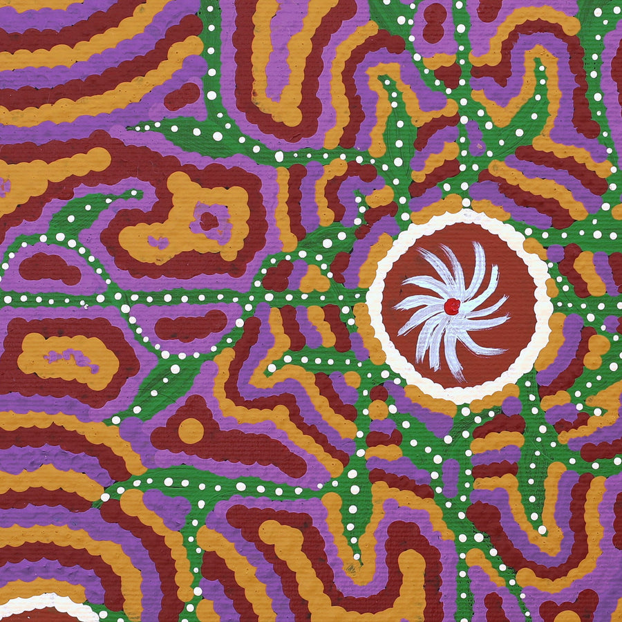 Aboriginal Artwork by Ingrid Napangardi Williams, Ngalyipi Jukurrpa (Snake Vine Dreaming) - Purturlu, 30x30cm