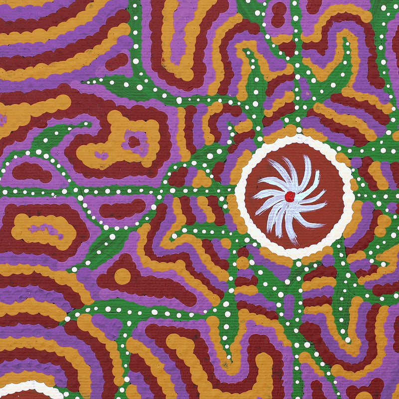 Aboriginal Artwork by Ingrid Napangardi Williams, Ngalyipi Jukurrpa (Snake Vine Dreaming) - Purturlu, 30x30cm