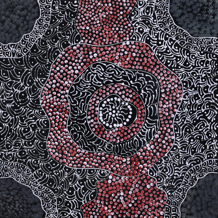 Aboriginal Artwork by Janie Napangardi Williams, Ngarlkirdi Jukurrpa (Witchetty Grub Dreaming), 30x30cm