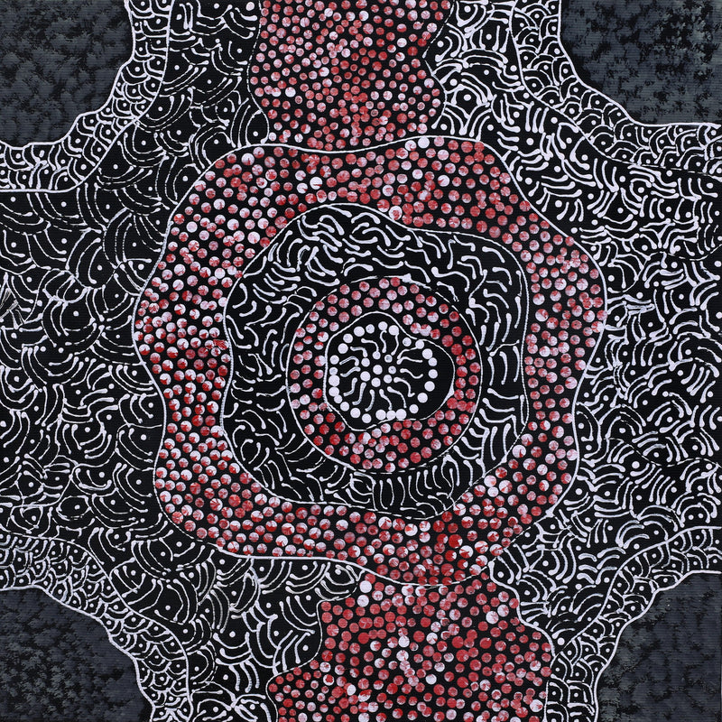 Aboriginal Artwork by Janie Napangardi Williams, Ngarlkirdi Jukurrpa (Witchetty Grub Dreaming), 30x30cm