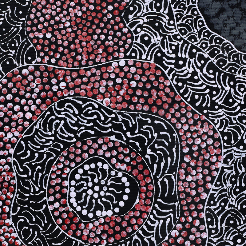 Aboriginal Artwork by Janie Napangardi Williams, Ngarlkirdi Jukurrpa (Witchetty Grub Dreaming), 30x30cm