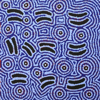 Aboriginal Artwork by Jenny Nangala Watson, Pirlarla Jukurrpa (Dogwood Tree Bean Dreaming), 30x30cm