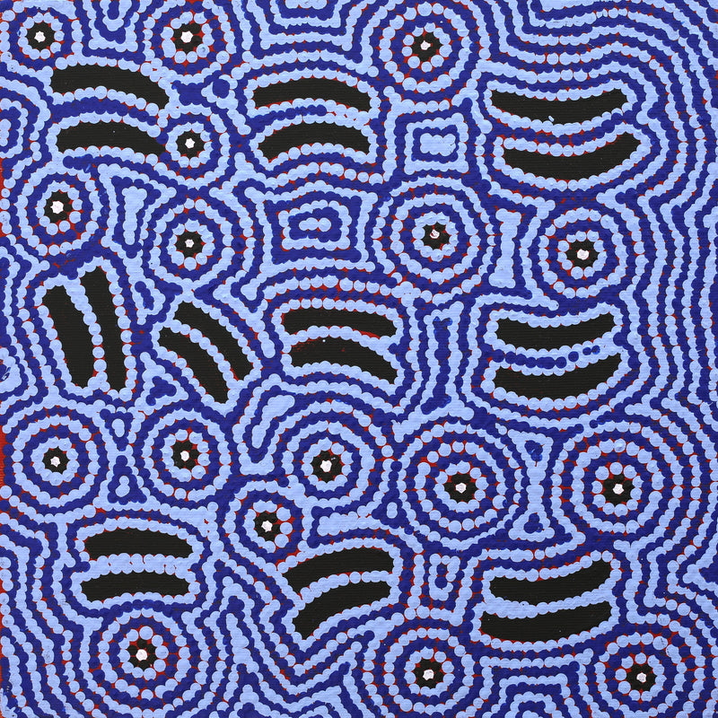 Aboriginal Artwork by Jenny Nangala Watson, Pirlarla Jukurrpa (Dogwood Tree Bean Dreaming), 30x30cm